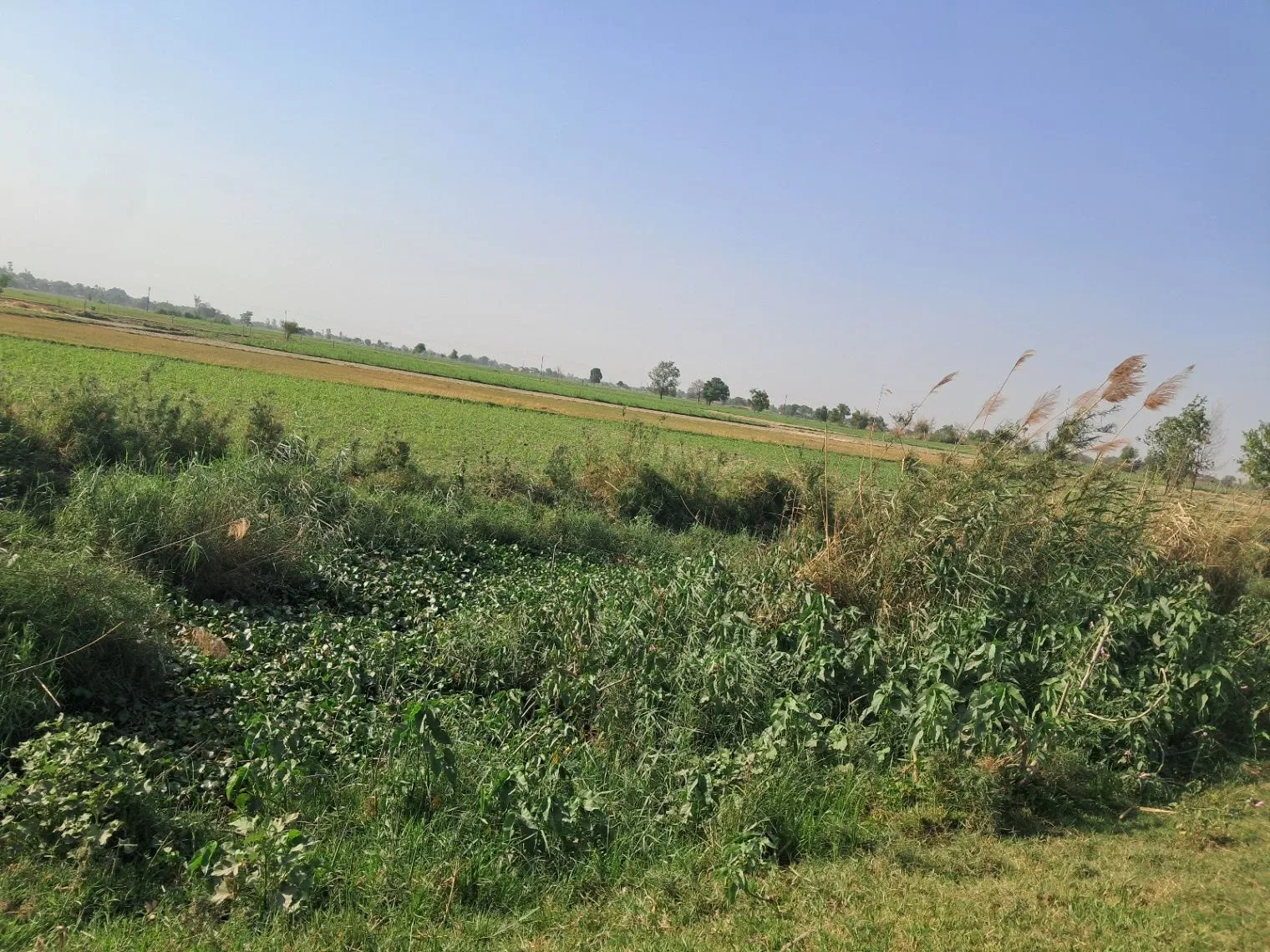 H564+JQ Dubawa, Uttar Pradesh, India