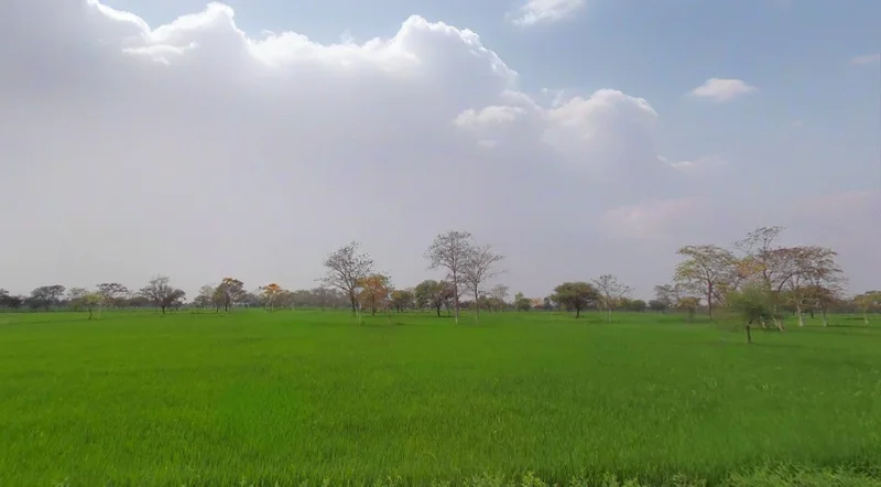 Sonpairi-2, Chhattisgarh 493661, India preview 3