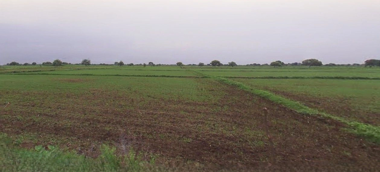 Sarojini Nagar, Lucknow, Uttar Pradesh, India