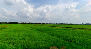 Kumhariya, Jharkhand, India preview 2