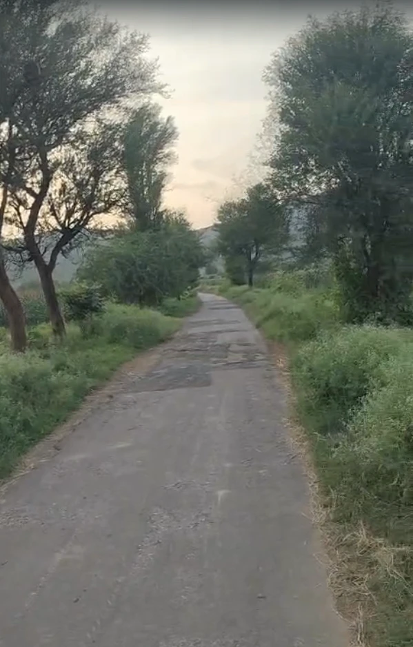 MQJX+XRC, Alwar, Dhaneta, Rajasthan 301025, India