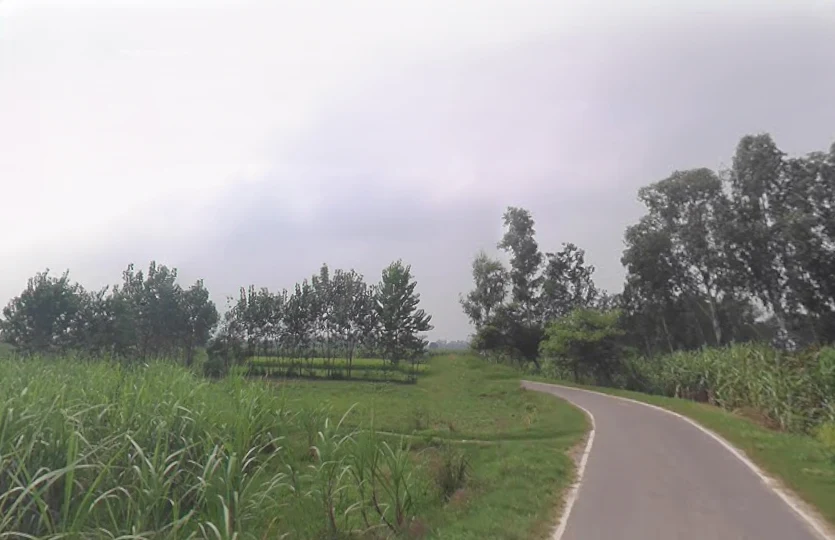 Dotai, Uttar Pradesh 245205, India