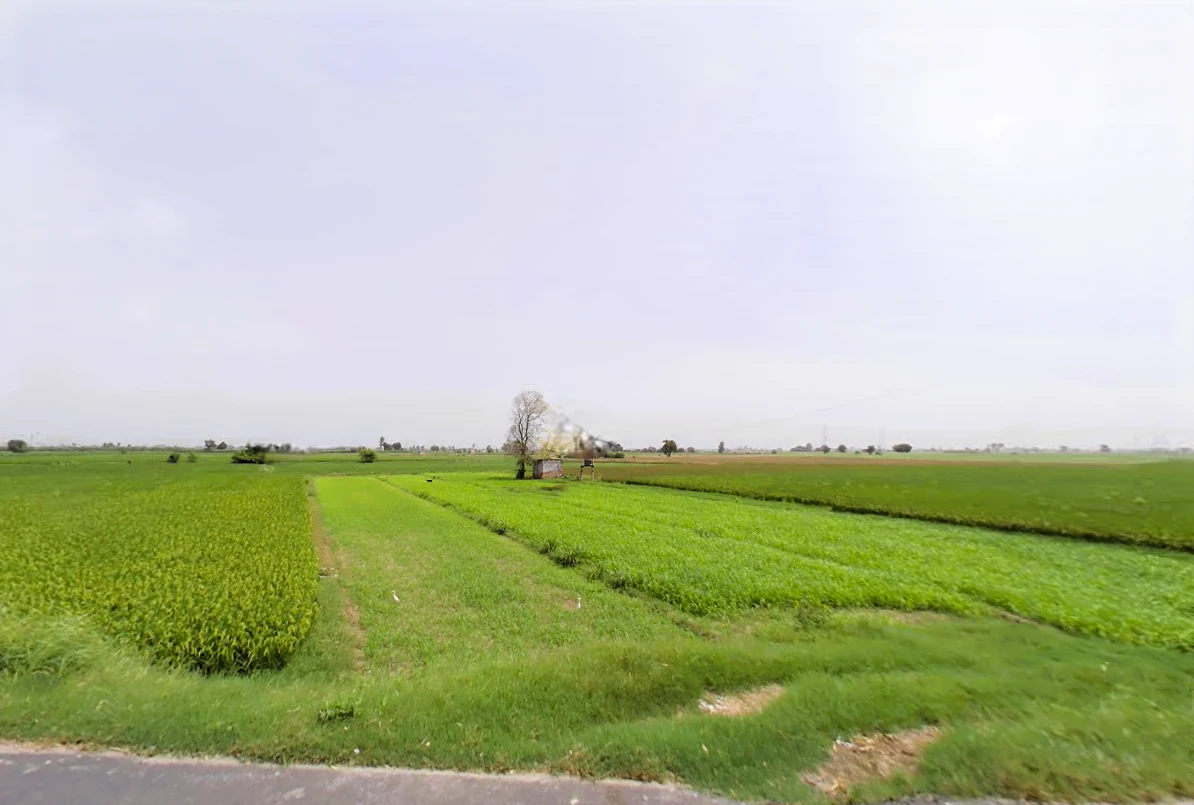 Kalheri, Haryana 132114, India
