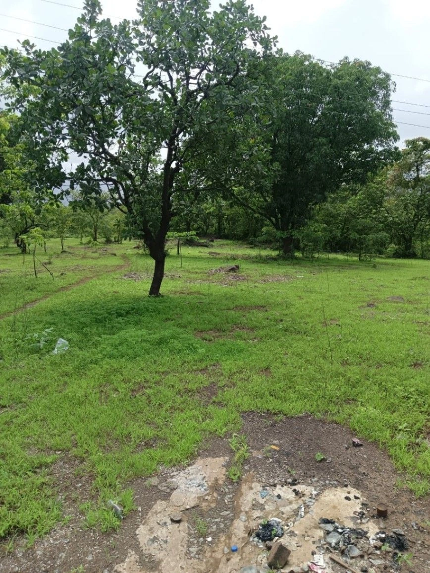 Kurru, Raipur, Chhattisgarh 493661, India