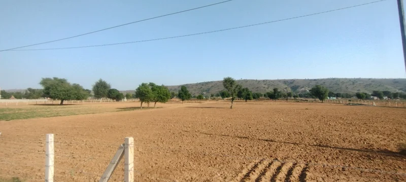 Kerwawal, Rajasthan, India preview 2