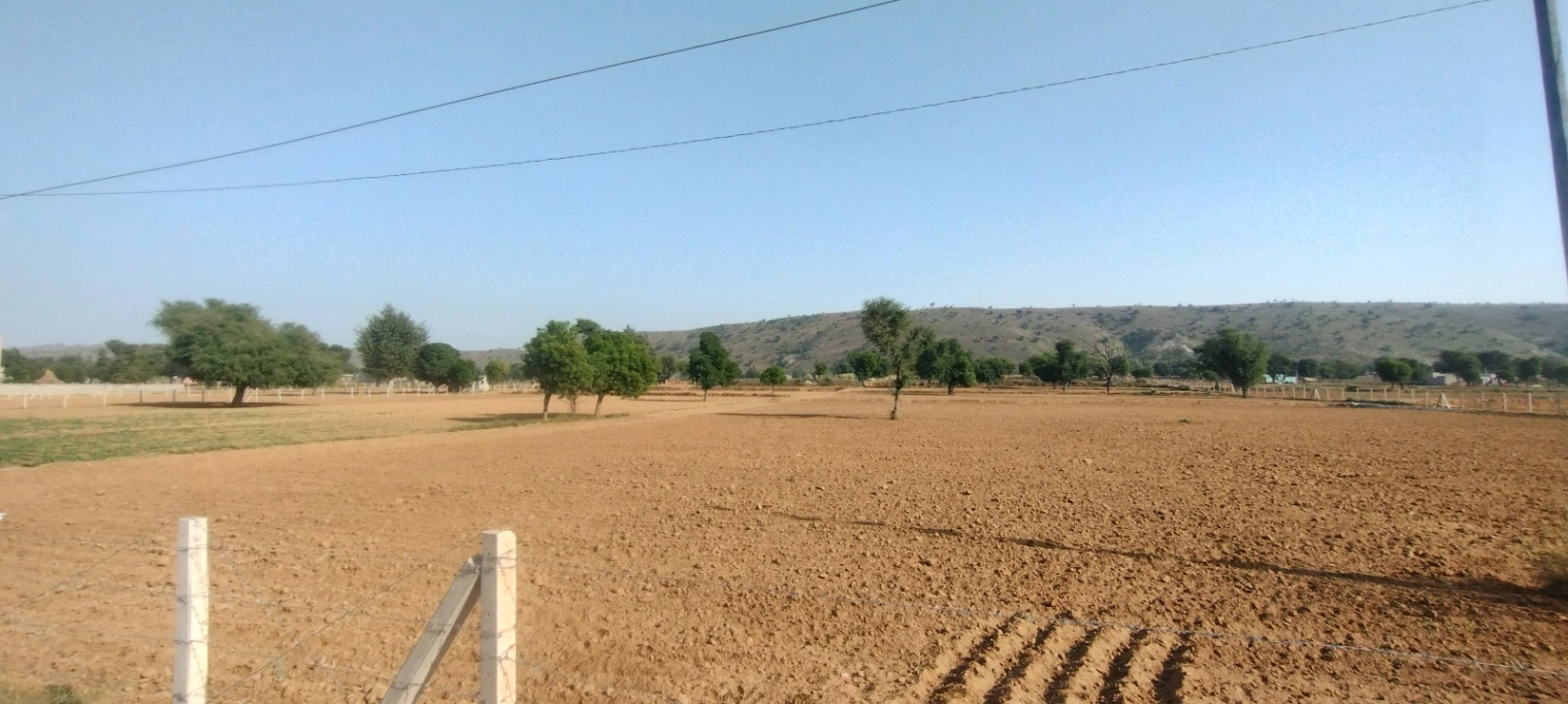 Kerwawal, Rajasthan, India