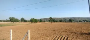 Kerwawal, Rajasthan, India preview 2