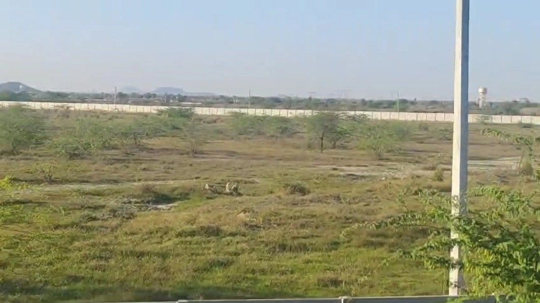 QCXW+P3 Nasnoda, Rajasthan, India preview 2