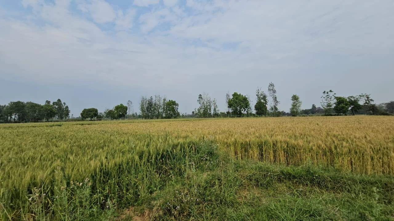 Amarpura, Rajasthan 323803, India preview 3
