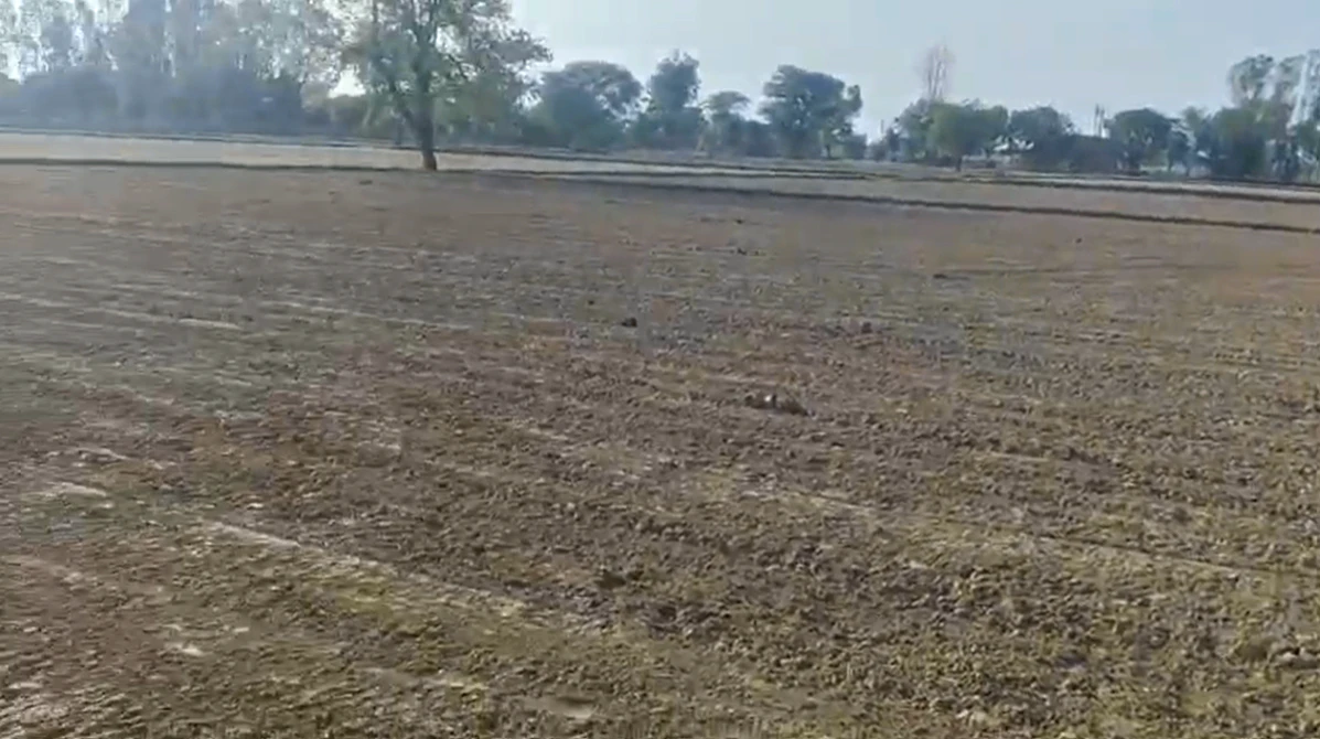 626W+CGJ, Dhaula, Rajasthan 303120, India