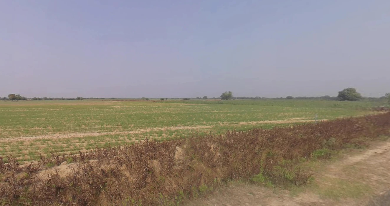 Budheli, Gujarat, India