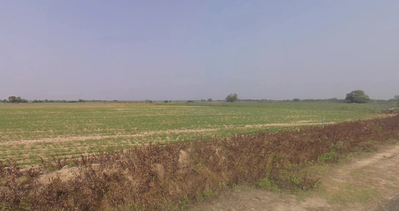 Budheli, Gujarat, India