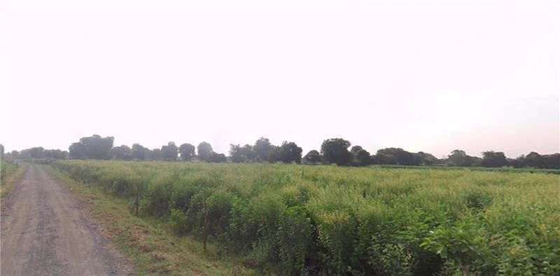 GP6F+QG Tindalava Mota, Gujarat, India