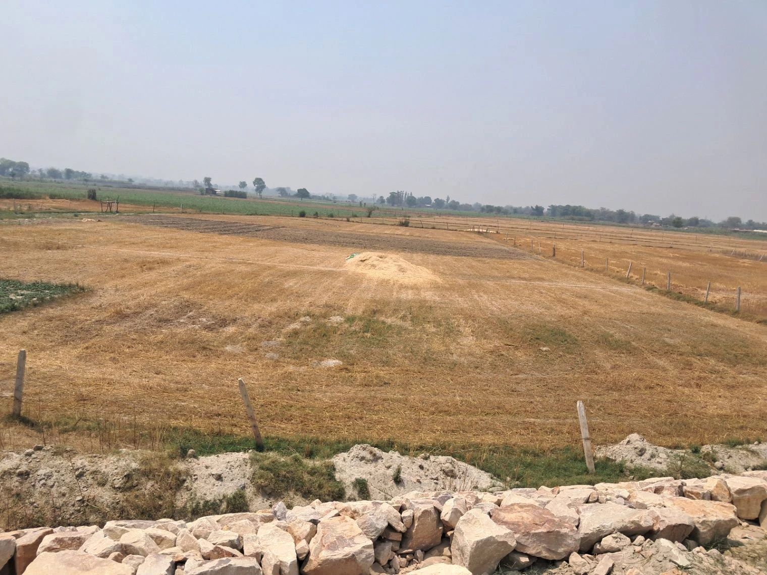P65X+XC Sanethu, Uttar Pradesh, India