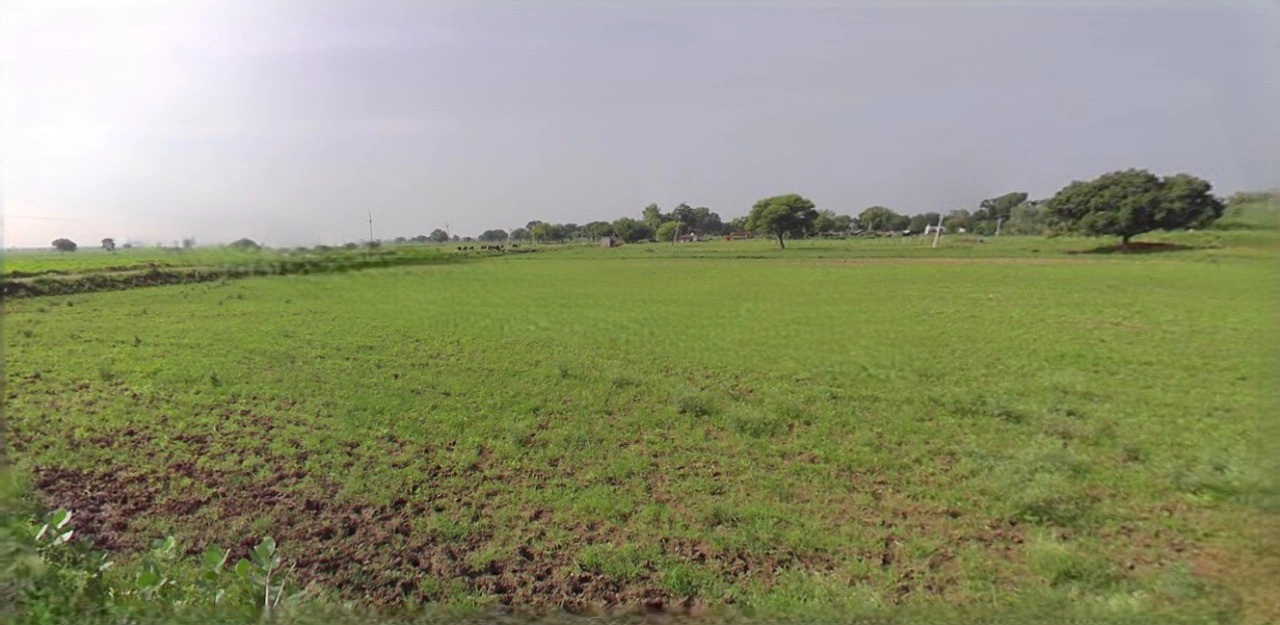Jhajjar, Haryana 124103, India
