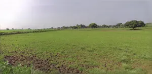 Jhajjar, Haryana 124103, India preview 3