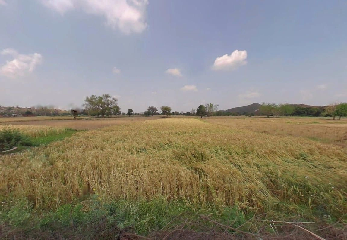 QP72+65J, Ismailpur, Ismalpur, Rajasthan 301404, India