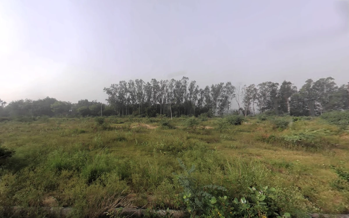 48M8+7C6, Panchwati Colony, Palwal, Haryana 121102, India