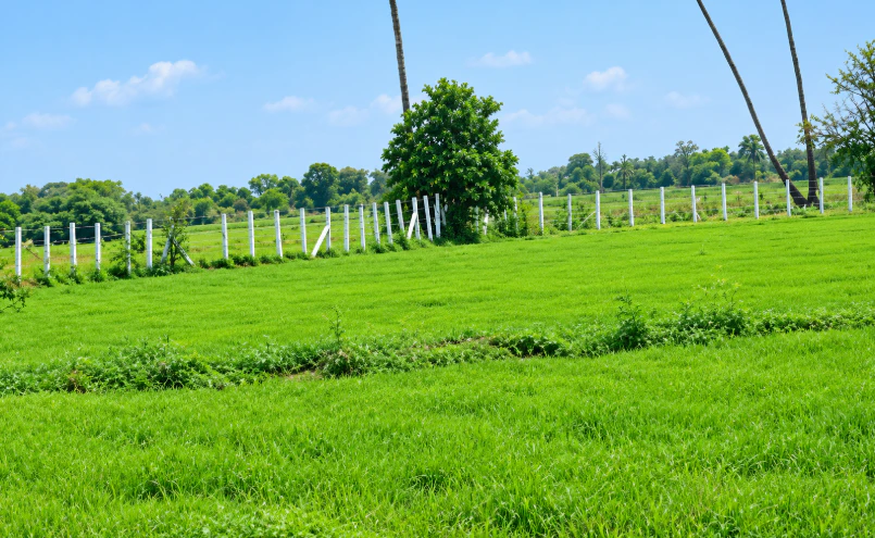 HP7Q+JQ7, Yadadri Bhuvanagiri, Bhuvanagiri, Bommalaramaram, Telangana 508126, India