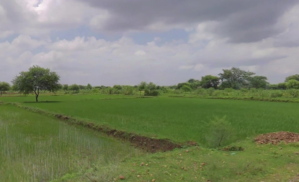 Kathiya-2, Chhattisgarh 493661, India