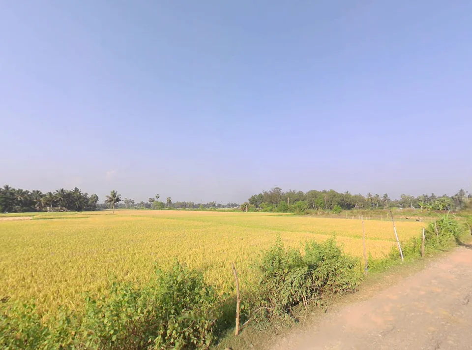 Konark, Odisha 752111, India preview 2