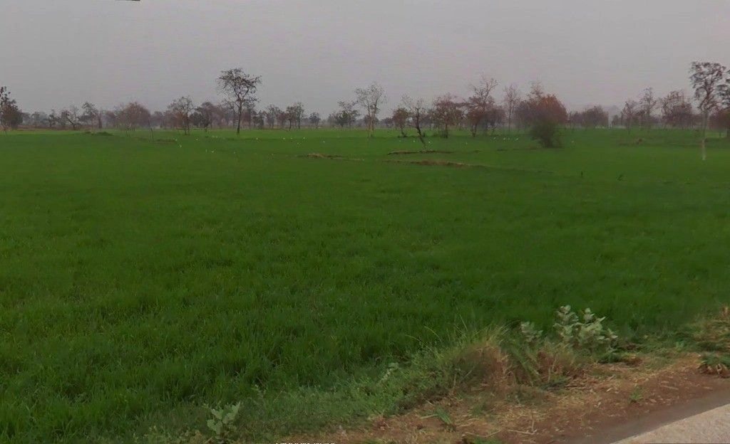 Ranka, Chhattisgarh 491335, India