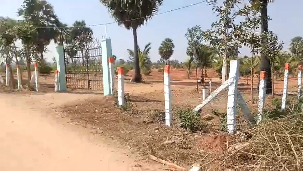 QG2M+FJ Veldanda, Telangana, India