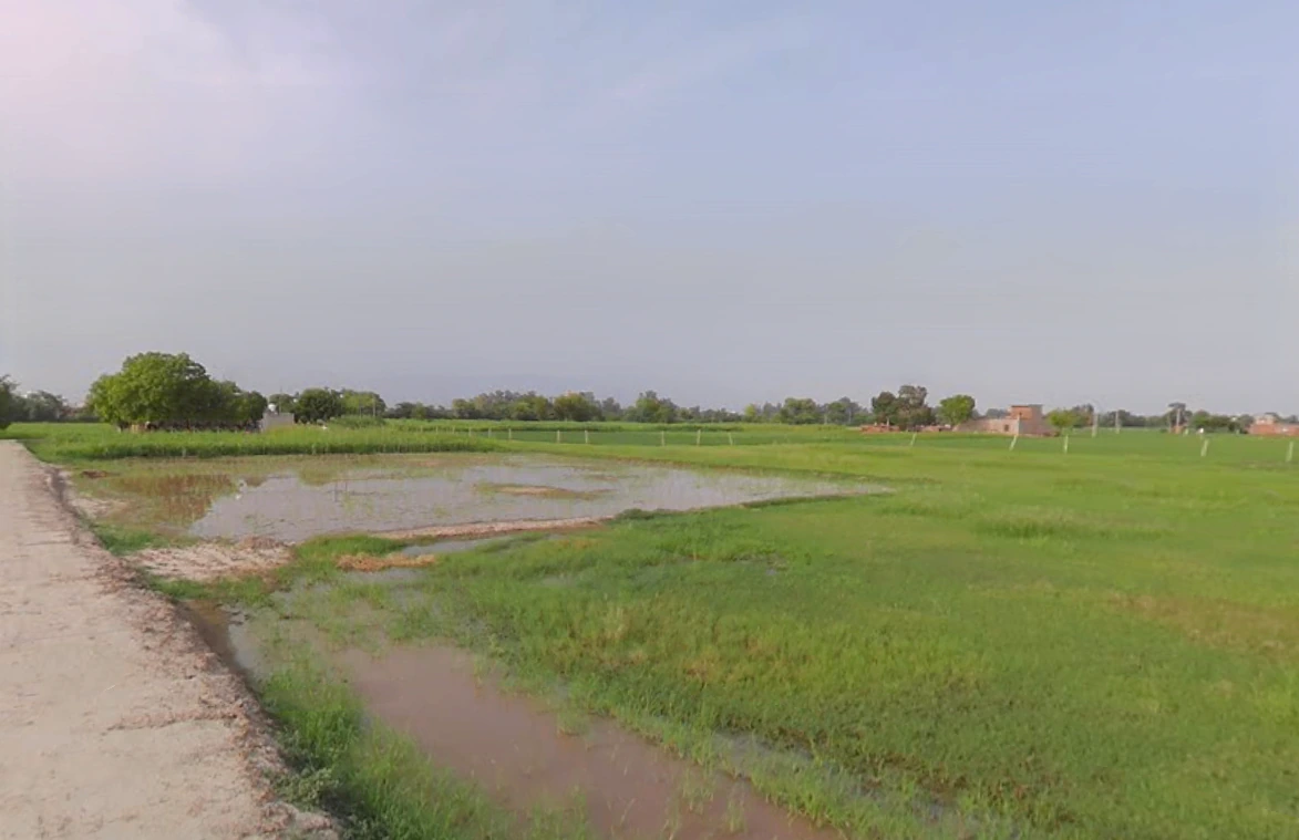 Kanganpur, Sirsa, Haryana 125055, India