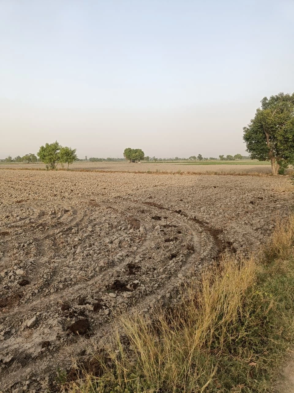 Dhoolpuri, Rajasthan, India preview 2