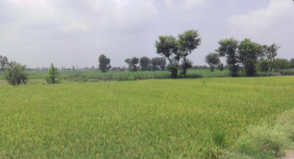 Agar, Madhya Pradesh 465441, India