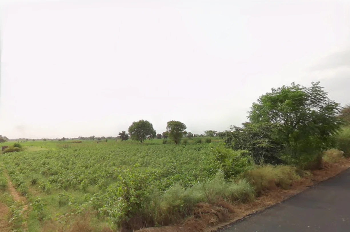 Beri, Haryana 124201, India