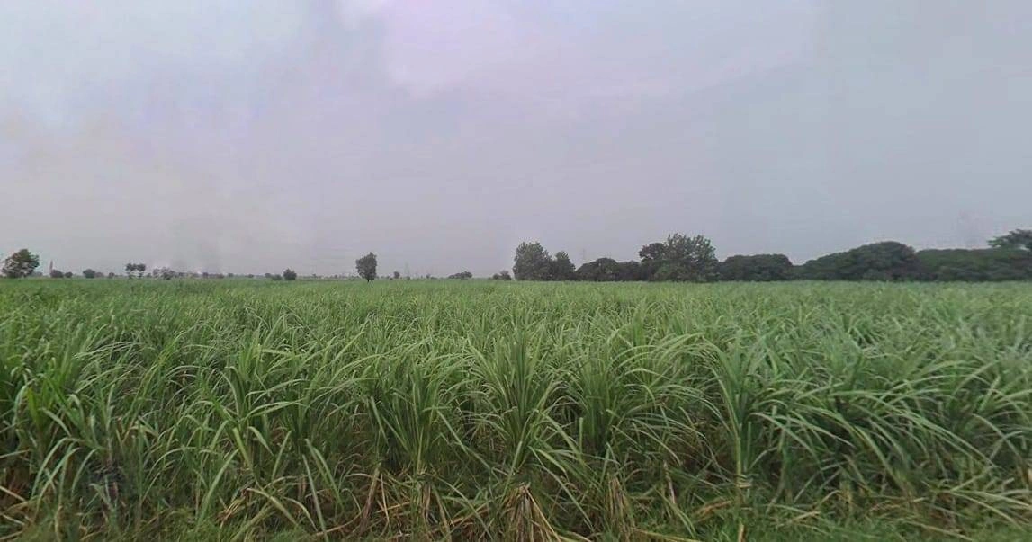 QGC4+PXP, Muradnagar, Uttar Pradesh 201206, India