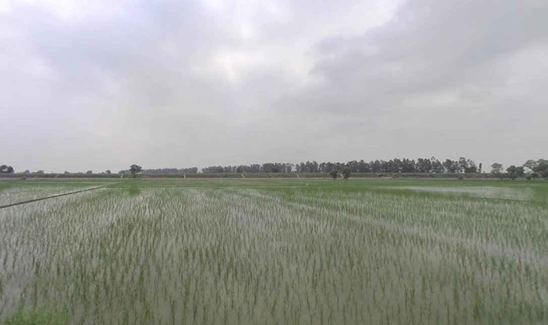 Shekhupur Titri, Haryana, India