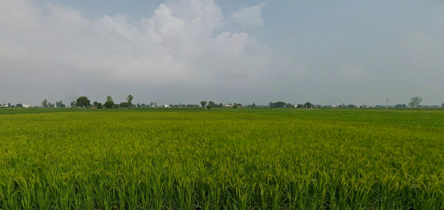 Khanna, Punjab, India