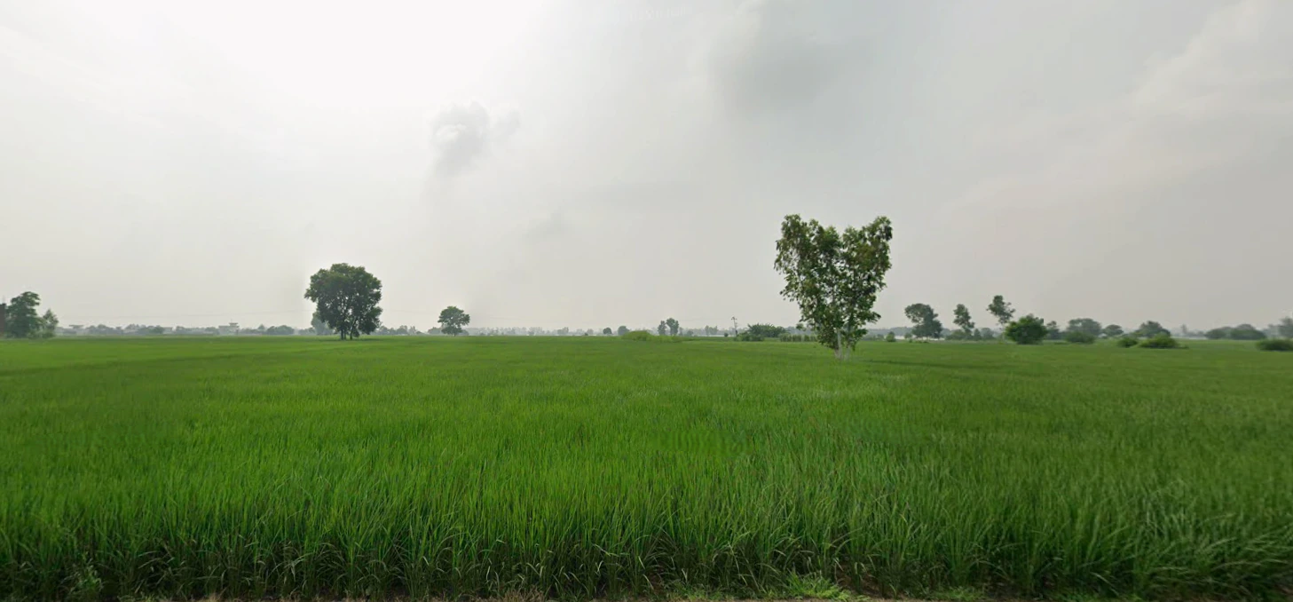 Nurpur Bedi, Punjab 140117, India
