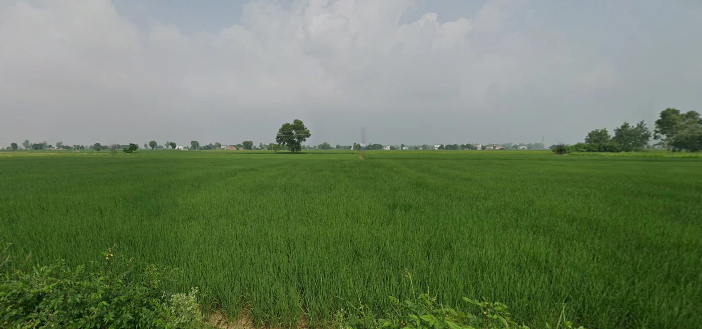 Nurpur Bedi, Punjab 140117, India