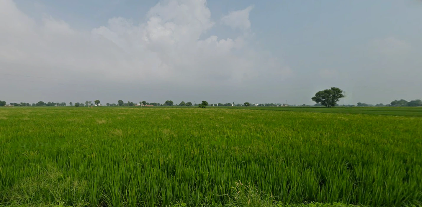 Nurpur Bedi, Punjab 140117, India