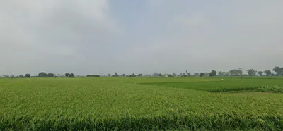 Kiratpur Sahib, Punjab 140115, India preview 2