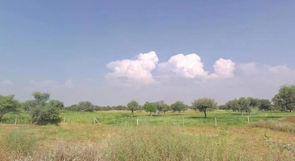 Sithal, Rajasthan 333021, India