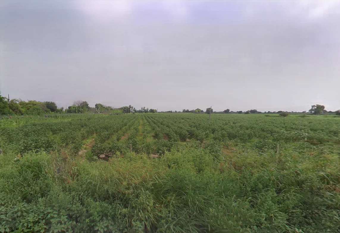 Chikanwas, Haryana 125047, India preview 3