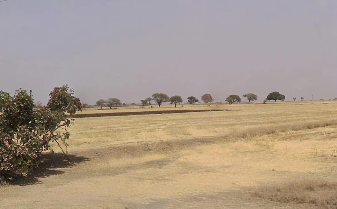 5HP4+VXF, Rupaheda, Madhya Pradesh 465691, India preview 2