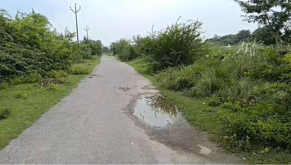 Maharajganj, Raebareli, Uttar Pradesh 229306, India