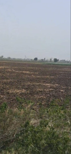 XMV5+78 Surnada, Phalodi, India