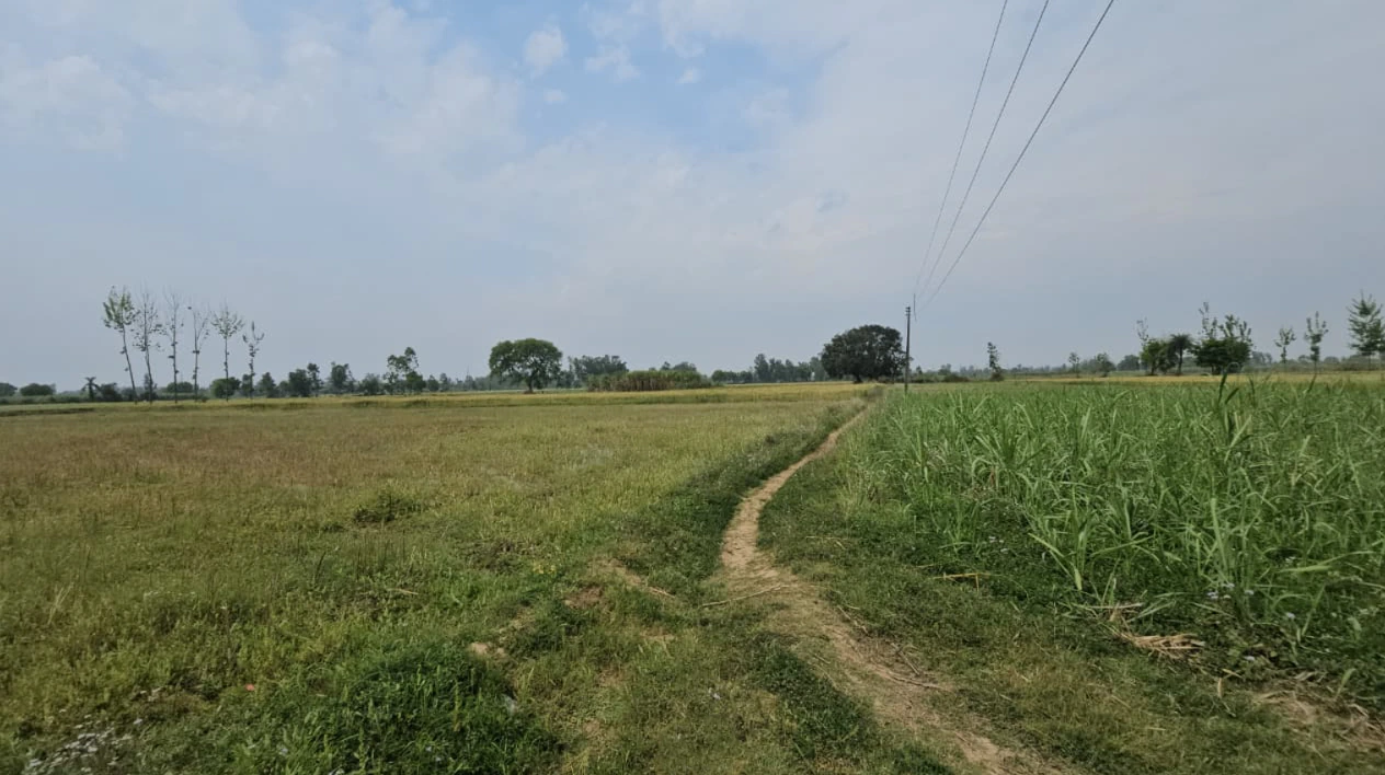 Teela, Rajasthan 312616, India