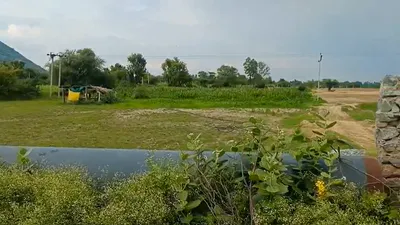 6CFQ+J7 Tordi, Tonk, Rajasthan, India preview 2