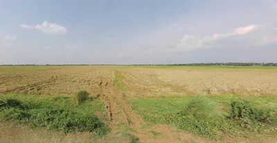 Delang, Odisha 752016, India preview 3