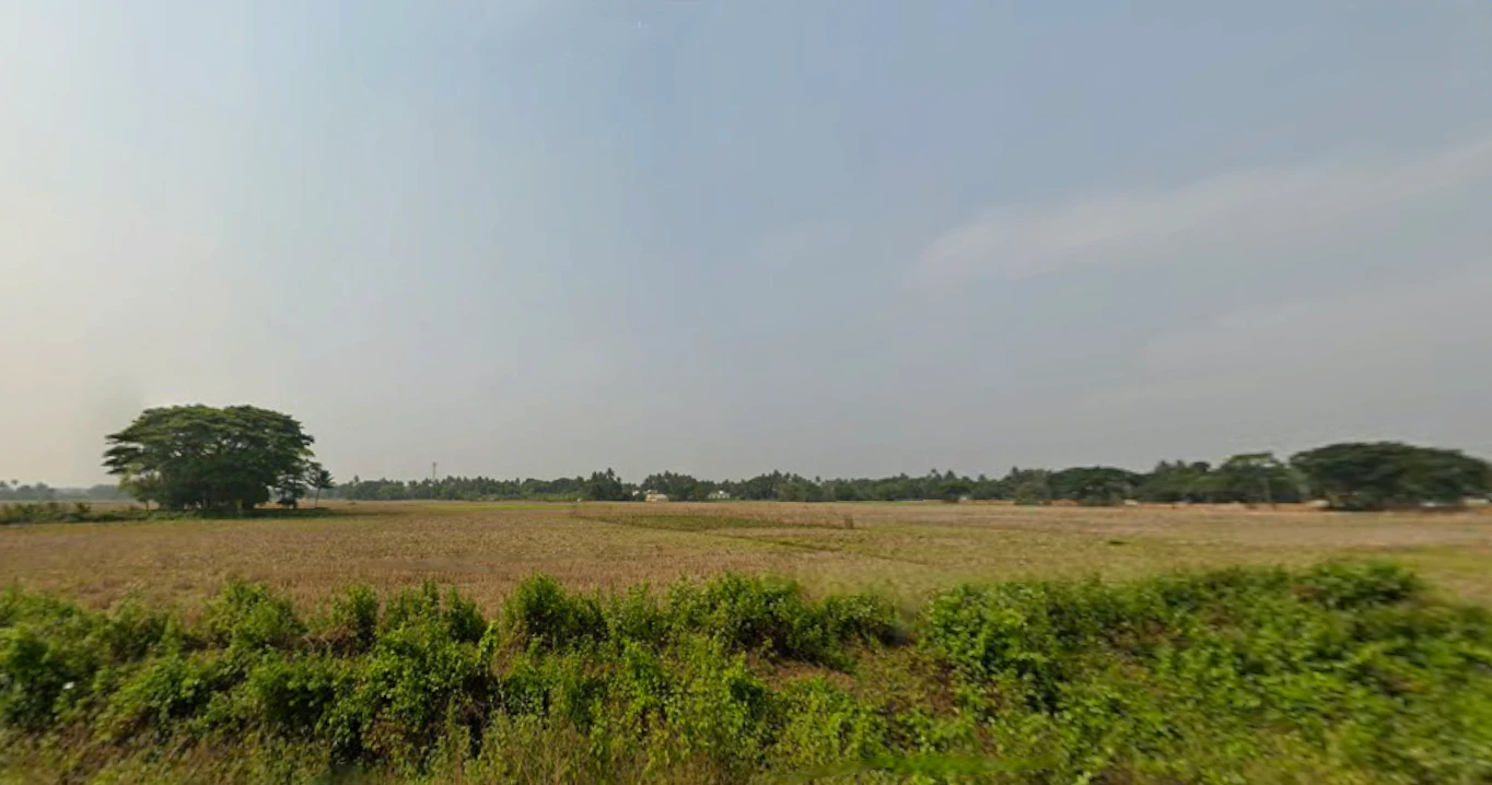 Gudia Pokhari, Odisha 752104, India