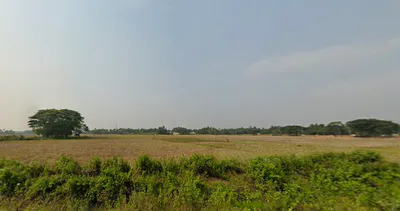 Gudia Pokhari, Odisha 752104, India preview 3