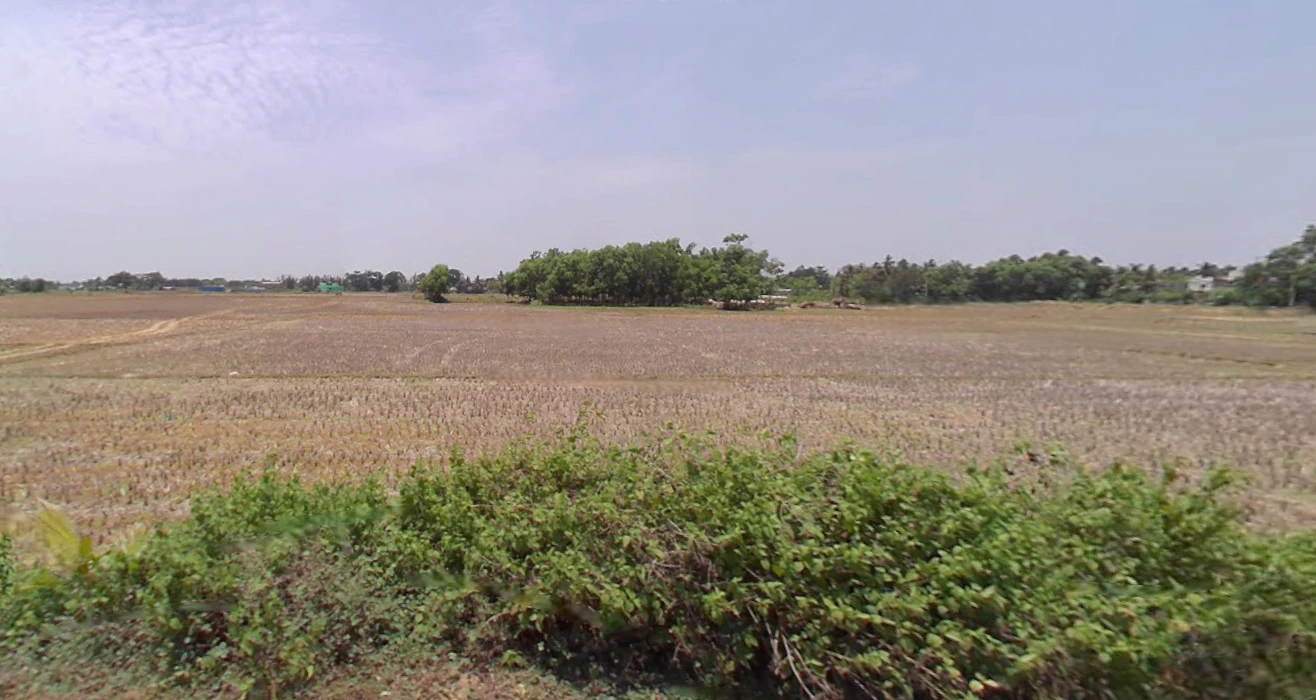 Gudia Pokhari, Odisha 752104, India