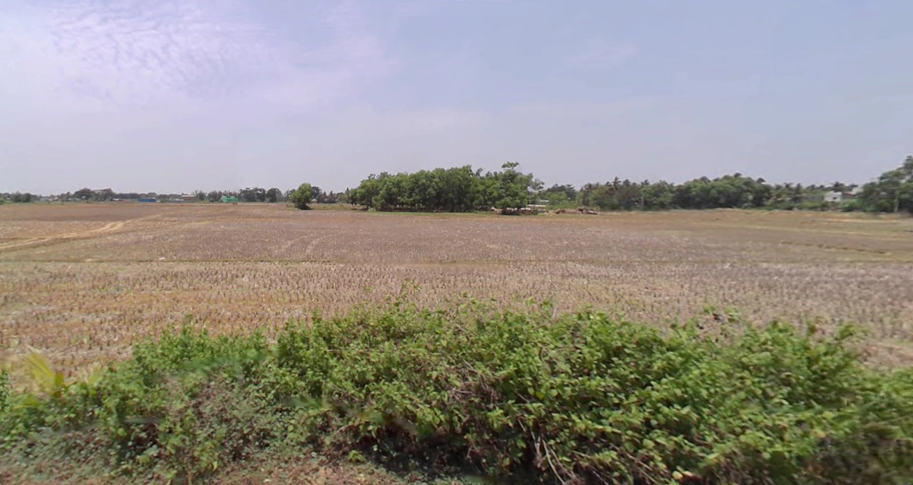 Gudia Pokhari, Odisha 752104, India
